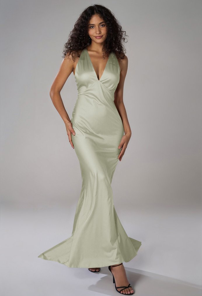 AW Devon Dress